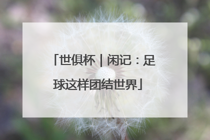 世俱杯｜闲记：足球这样团结世界