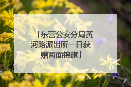 东营公安分局黄河路派出所一日获赠两面锦旗
