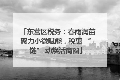 东营区税务：春雨润苗聚力小微赋能，税惠 “链” 动焕活商圈