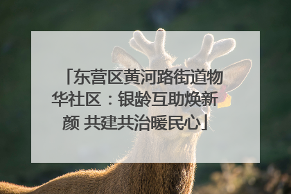 东营区黄河路街道物华社区：银龄互助焕新颜 共建共治暖民心