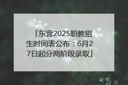 东营2025职教招生时间表公布：6月27日起分两阶段录取