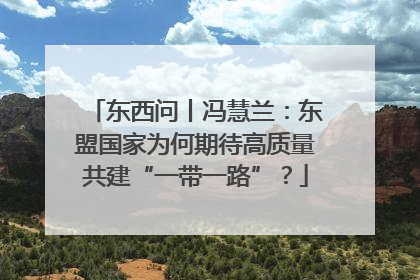 东西问丨冯慧兰：东盟国家为何期待高质量共建“一带一路”？