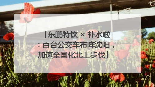 东鹏特饮 × 补水啦：百台公交车布阵沈阳，加速全国化北上步伐