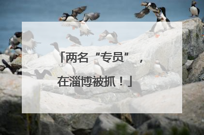 两名“专员”，在淄博被抓！