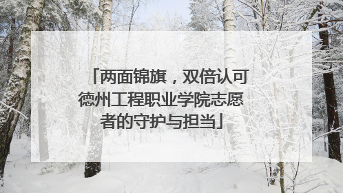 两面锦旗，双倍认可德州工程职业学院志愿者的守护与担当