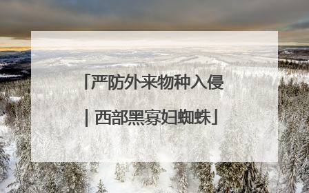 严防外来物种入侵｜西部黑寡妇蜘蛛