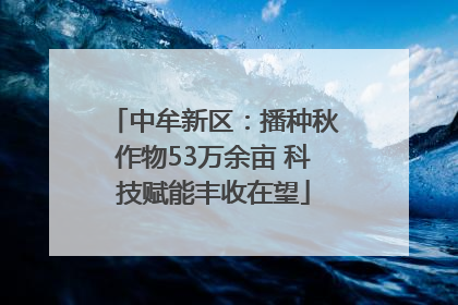 中牟新区：播种秋作物53万余亩 科技赋能丰收在望