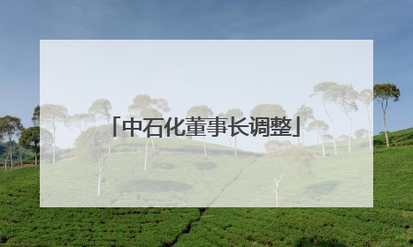 中石化董事长调整