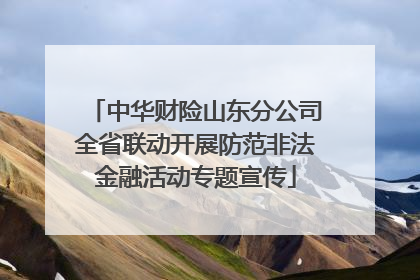 中华财险山东分公司全省联动开展防范非法金融活动专题宣传