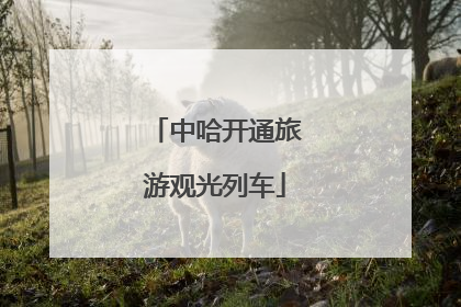 中哈开通旅游观光列车