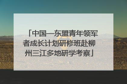 中国—东盟青年领军者成长计划研修班赴柳州三江多地研学考察