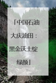 中国石油大庆油田：黑金沃土绽绿颜