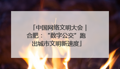 中国网络文明大会｜合肥：“数字公交”跑出城市文明新速度
