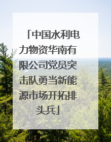 中国水利电力物资华南有限公司党员突击队勇当新能源市场开拓排头兵