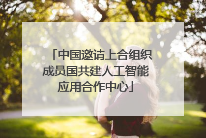 中国邀请上合组织成员国共建人工智能应用合作中心