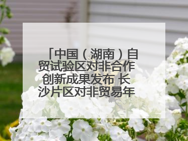 中国（湖南）自贸试验区对非合作创新成果发布 长沙片区对非贸易年均增长141%