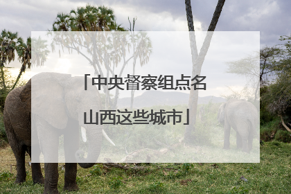 中央督察组点名山西这些城市