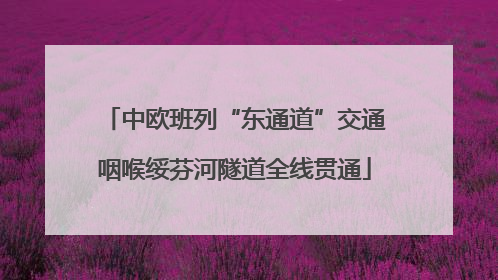 中欧班列“东通道”交通咽喉绥芬河隧道全线贯通