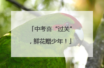 中考喜“过关”，鲜花赠少年！