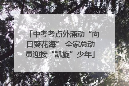 中考考点外涌动“向日葵花海” 全家总动员迎接“凯旋”少年