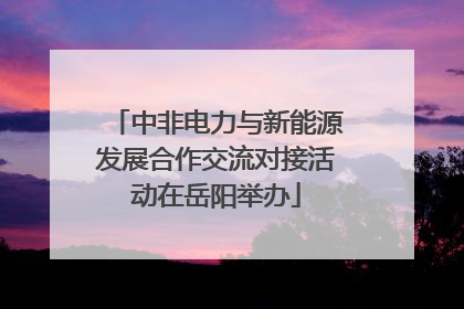 中非电力与新能源发展合作交流对接活动在岳阳举办