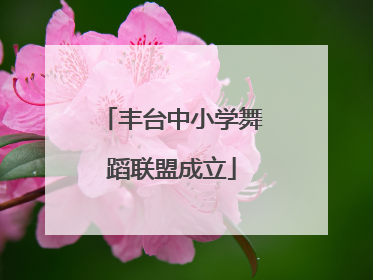 丰台中小学舞蹈联盟成立