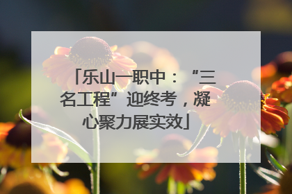 乐山一职中：“三名工程”迎终考，凝心聚力展实效