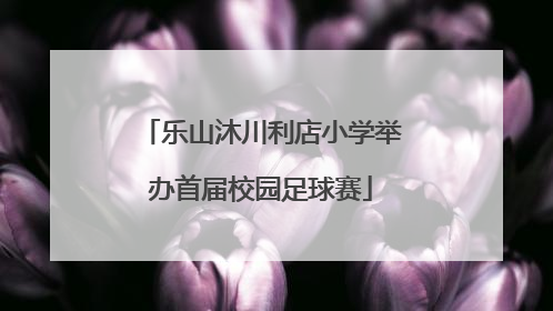 乐山沐川利店小学举办首届校园足球赛