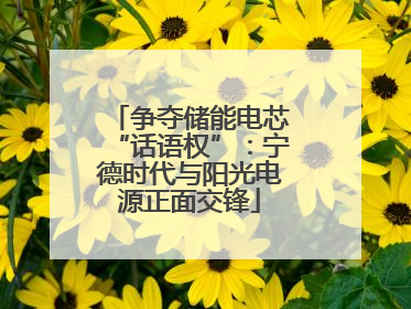 争夺储能电芯“话语权”：宁德时代与阳光电源正面交锋