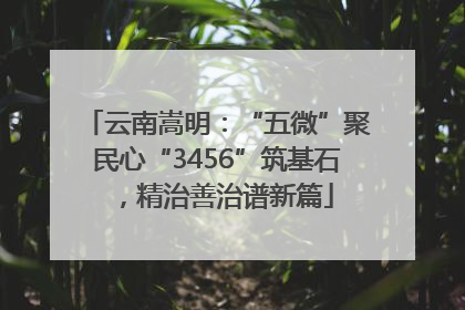 云南嵩明：“五微”聚民心“3456”筑基石，精治善治谱新篇
