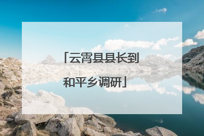 云霄县县长到和平乡调研