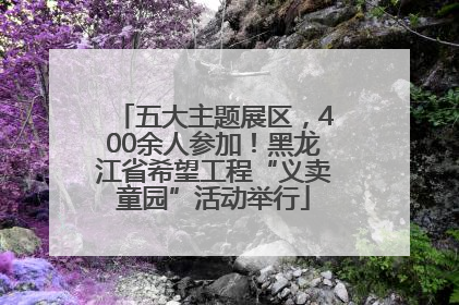 五大主题展区，400余人参加！黑龙江省希望工程“义卖童园”活动举行