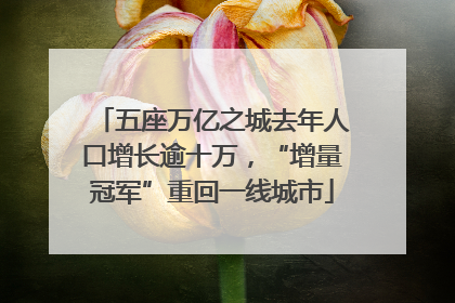 五座万亿之城去年人口增长逾十万，“增量冠军”重回一线城市