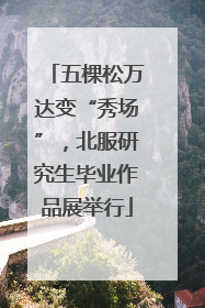 五棵松万达变“秀场”，北服研究生毕业作品展举行