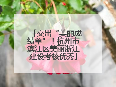 交出“美丽成绩单”！杭州市滨江区美丽浙江建设考核优秀