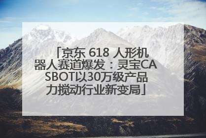 京东 618 人形机器人赛道爆发：灵宝CASBOT以30万级产品力搅动行业新变局