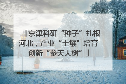 京津科研“种子”扎根河北，产业“土壤”培育创新“参天大树”