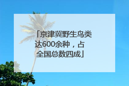 京津冀野生鸟类达600余种，占全国总数四成