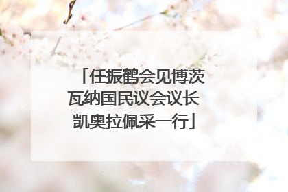 任振鹤会见博茨瓦纳国民议会议长凯奥拉佩采一行
