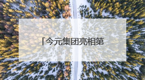 今元集团亮相第十一届上交会，展示全球化人力资源服务新范式