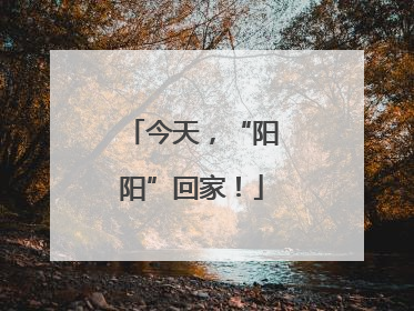 今天，“阳阳”回家！