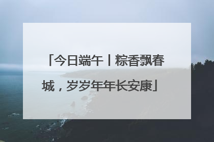 今日端午丨粽香飘春城，岁岁年年长安康