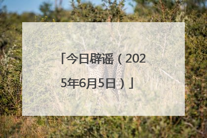 今日辟谣（2025年6月5日）