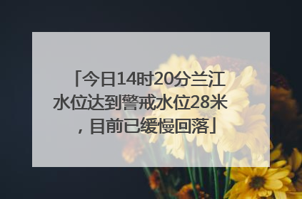今日14时20分兰江水位达到警戒水位28米，目前已缓慢回落