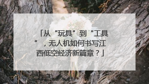 从“玩具”到“工具”，无人机如何书写江西低空经济新篇章？
