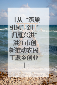 从“筑巢引凤”到“归雁兴洪” 洪江市创新推动农民工返乡创业
