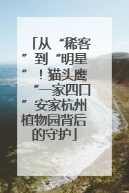 从“稀客”到“明星”！猫头鹰“一家四口”安家杭州植物园背后的守护