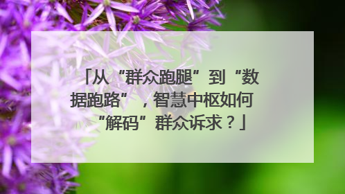 从“群众跑腿”到“数据跑路”，智慧中枢如何“解码”群众诉求？