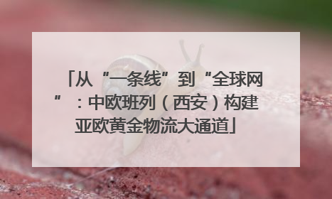 从“一条线”到“全球网”：中欧班列（西安）构建亚欧黄金物流大通道