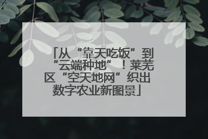 从“靠天吃饭”到“云端种地”！莱芜区“空天地网”织出数字农业新图景